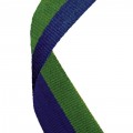 Navy Blue & Green - +$2.46