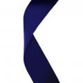Navy Blue - +$2.59