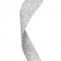 Silver Glitter - +$2.59